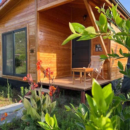 Çıralı Lemon Garden Lodge المظهر الخارجي الصورة