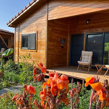 Çıralı Lemon Garden Lodge المظهر الخارجي الصورة
