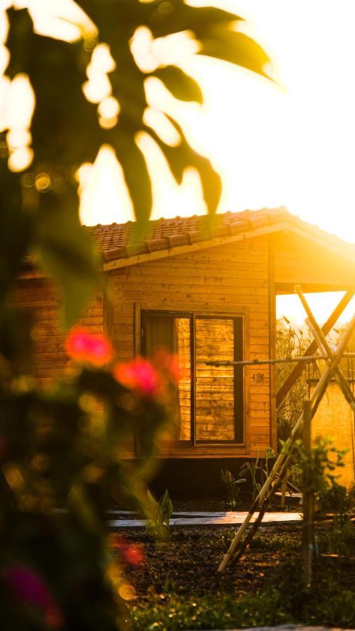 Çıralı Lemon Garden Lodge المظهر الخارجي الصورة