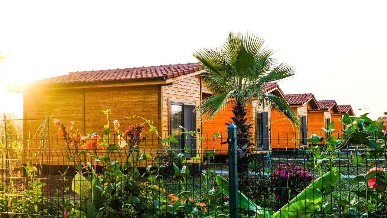 Çıralı Lemon Garden Lodge المظهر الخارجي الصورة