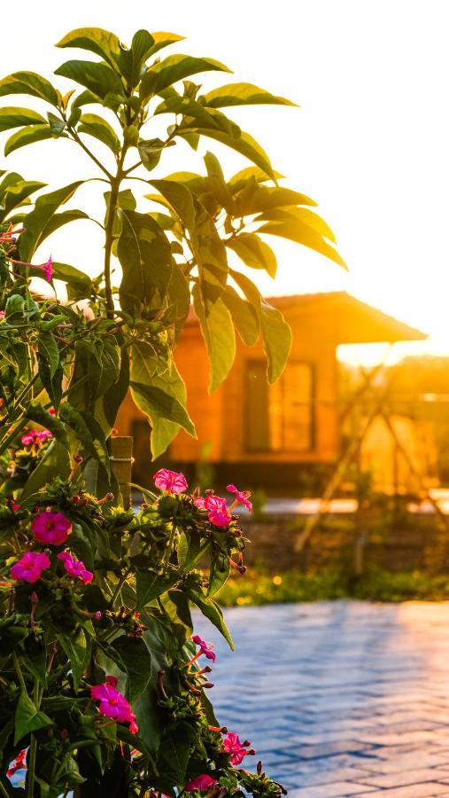 Çıralı Lemon Garden Lodge المظهر الخارجي الصورة