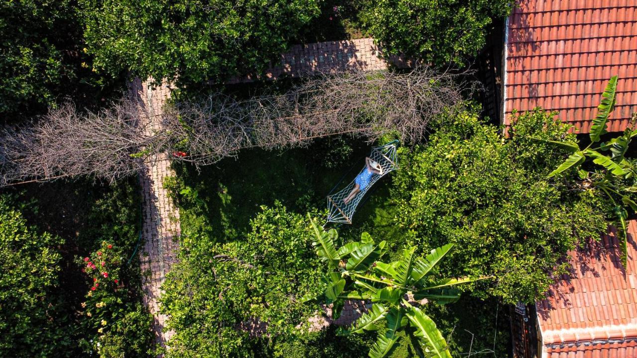 Çıralı Lemon Garden Lodge المظهر الخارجي الصورة