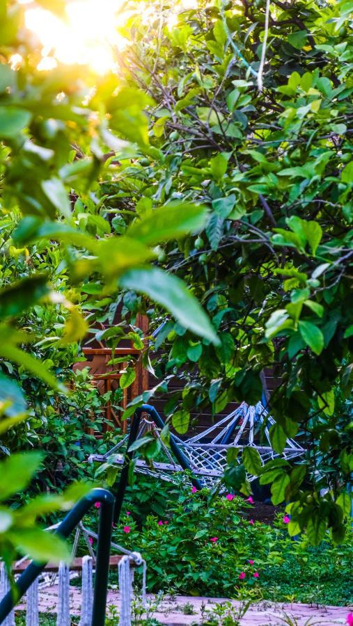 Çıralı Lemon Garden Lodge المظهر الخارجي الصورة