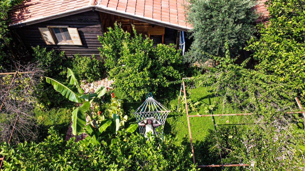Çıralı Lemon Garden Lodge المظهر الخارجي الصورة