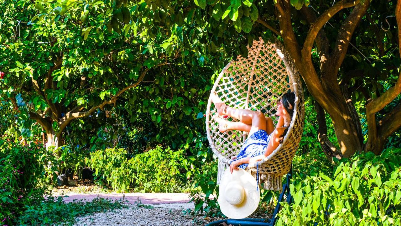 Çıralı Lemon Garden Lodge المظهر الخارجي الصورة