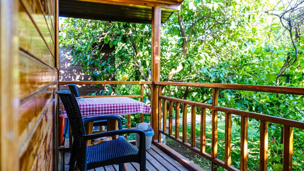 Çıralı Lemon Garden Lodge المظهر الخارجي الصورة