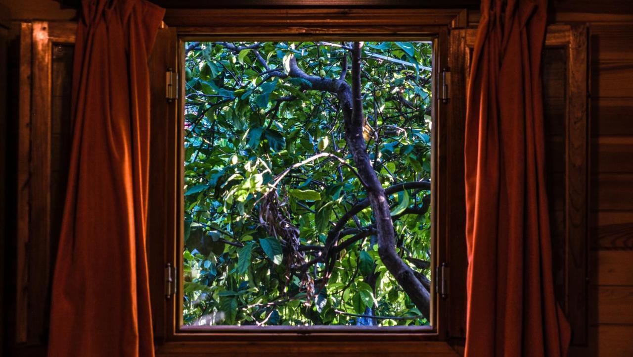 Çıralı Lemon Garden Lodge المظهر الخارجي الصورة