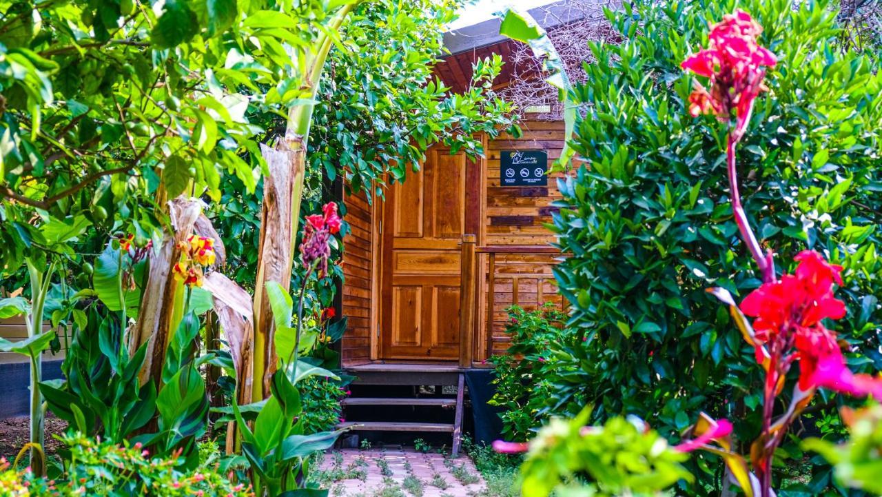 Çıralı Lemon Garden Lodge المظهر الخارجي الصورة