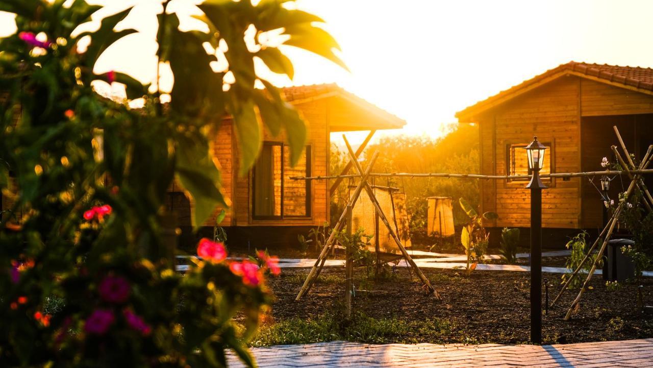 Çıralı Lemon Garden Lodge المظهر الخارجي الصورة