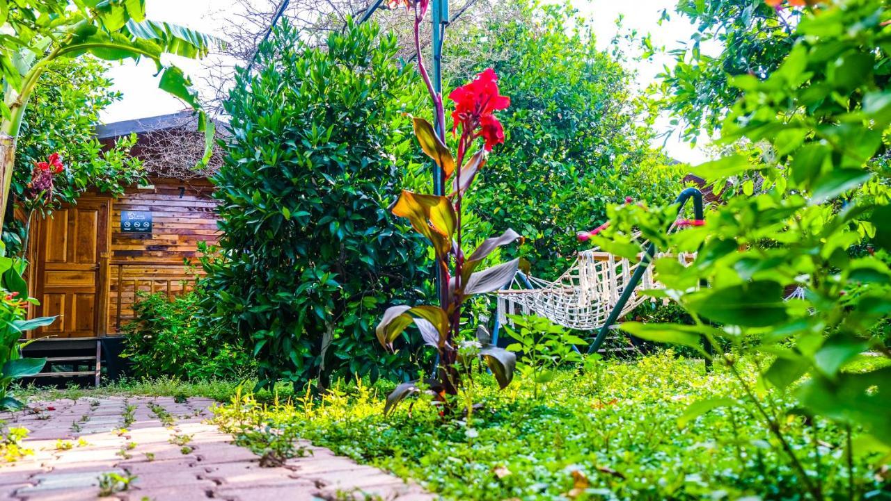 Çıralı Lemon Garden Lodge المظهر الخارجي الصورة