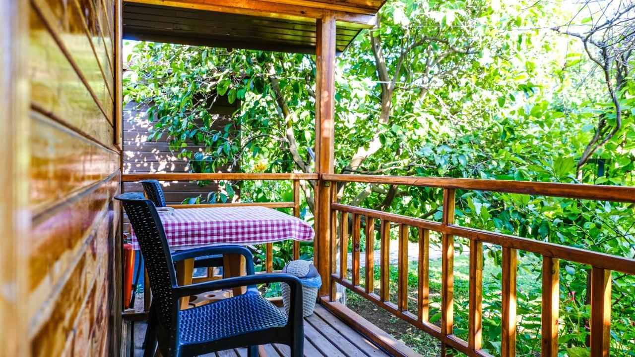 Çıralı Lemon Garden Lodge المظهر الخارجي الصورة