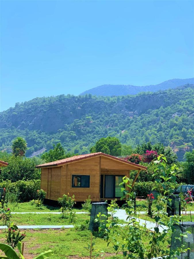 Çıralı Lemon Garden Lodge المظهر الخارجي الصورة
