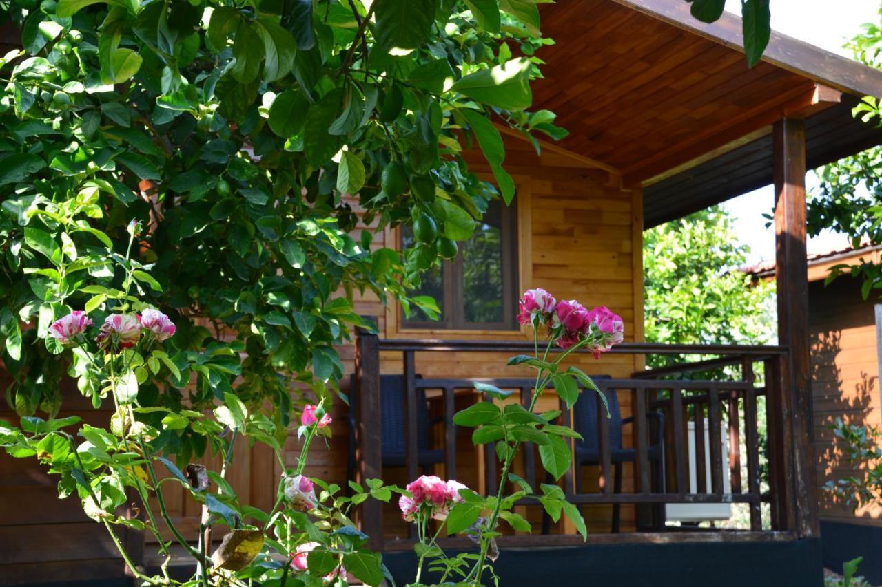 Çıralı Lemon Garden Lodge المظهر الخارجي الصورة
