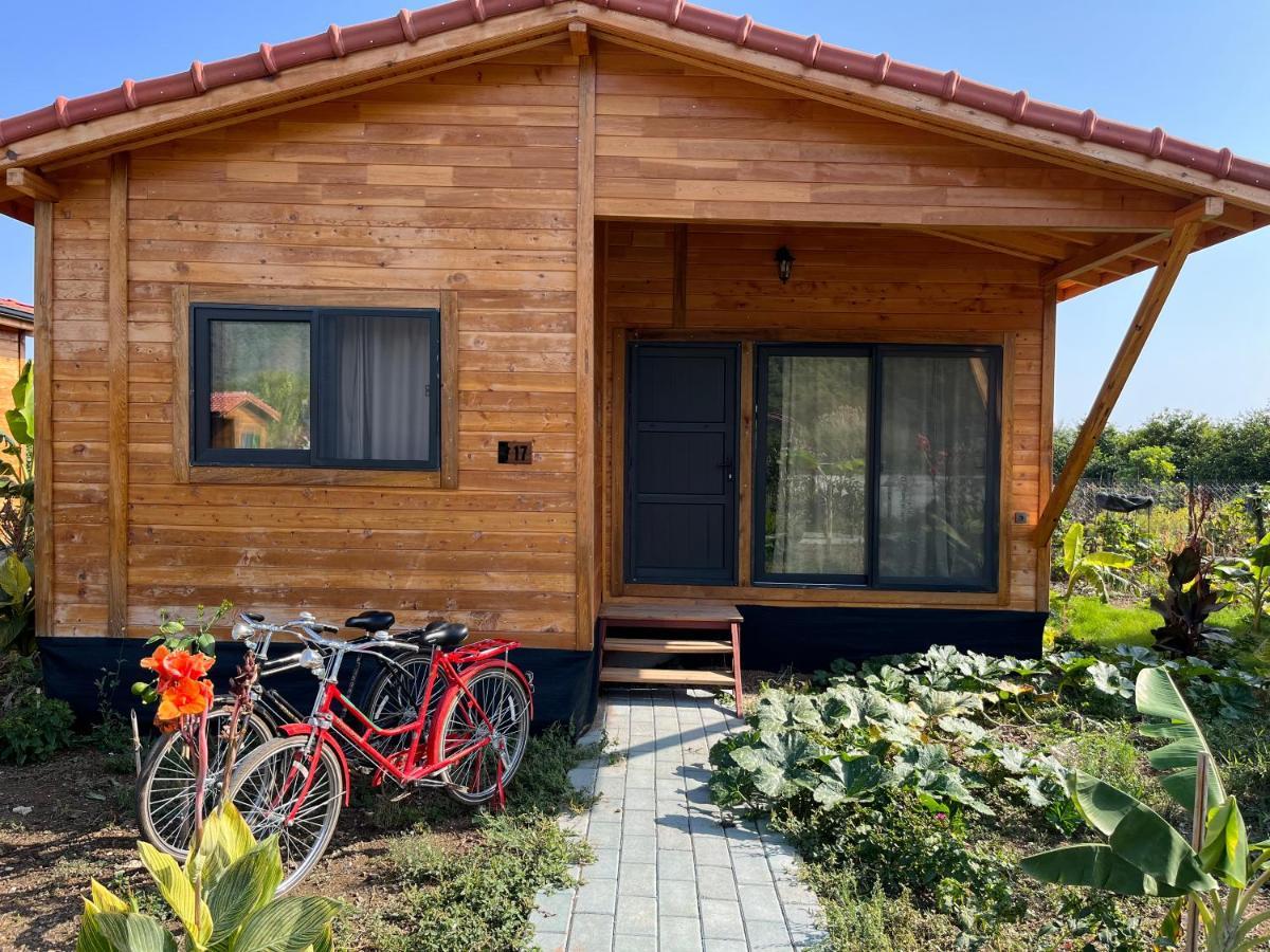 Çıralı Lemon Garden Lodge المظهر الخارجي الصورة