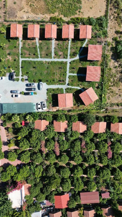 Çıralı Lemon Garden Lodge المظهر الخارجي الصورة