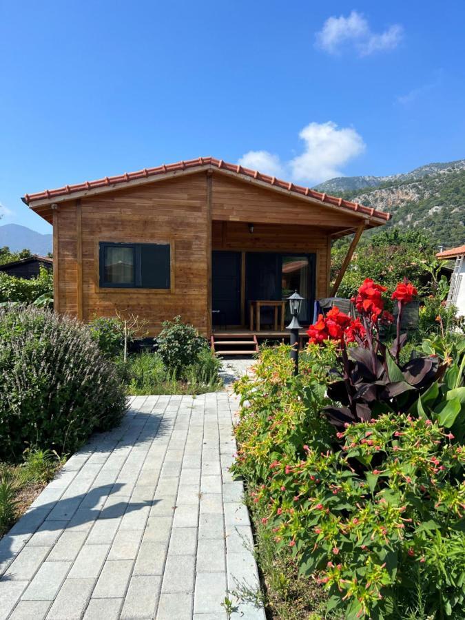 Çıralı Lemon Garden Lodge المظهر الخارجي الصورة