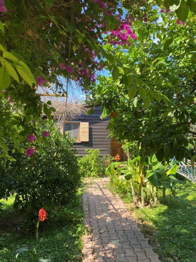 Çıralı Lemon Garden Lodge المظهر الخارجي الصورة