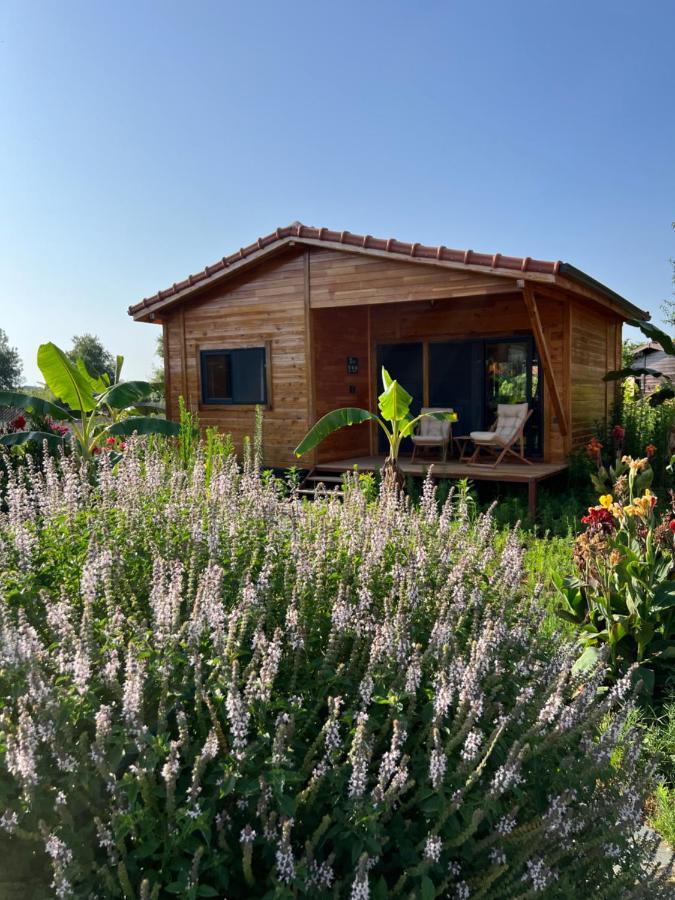Çıralı Lemon Garden Lodge المظهر الخارجي الصورة