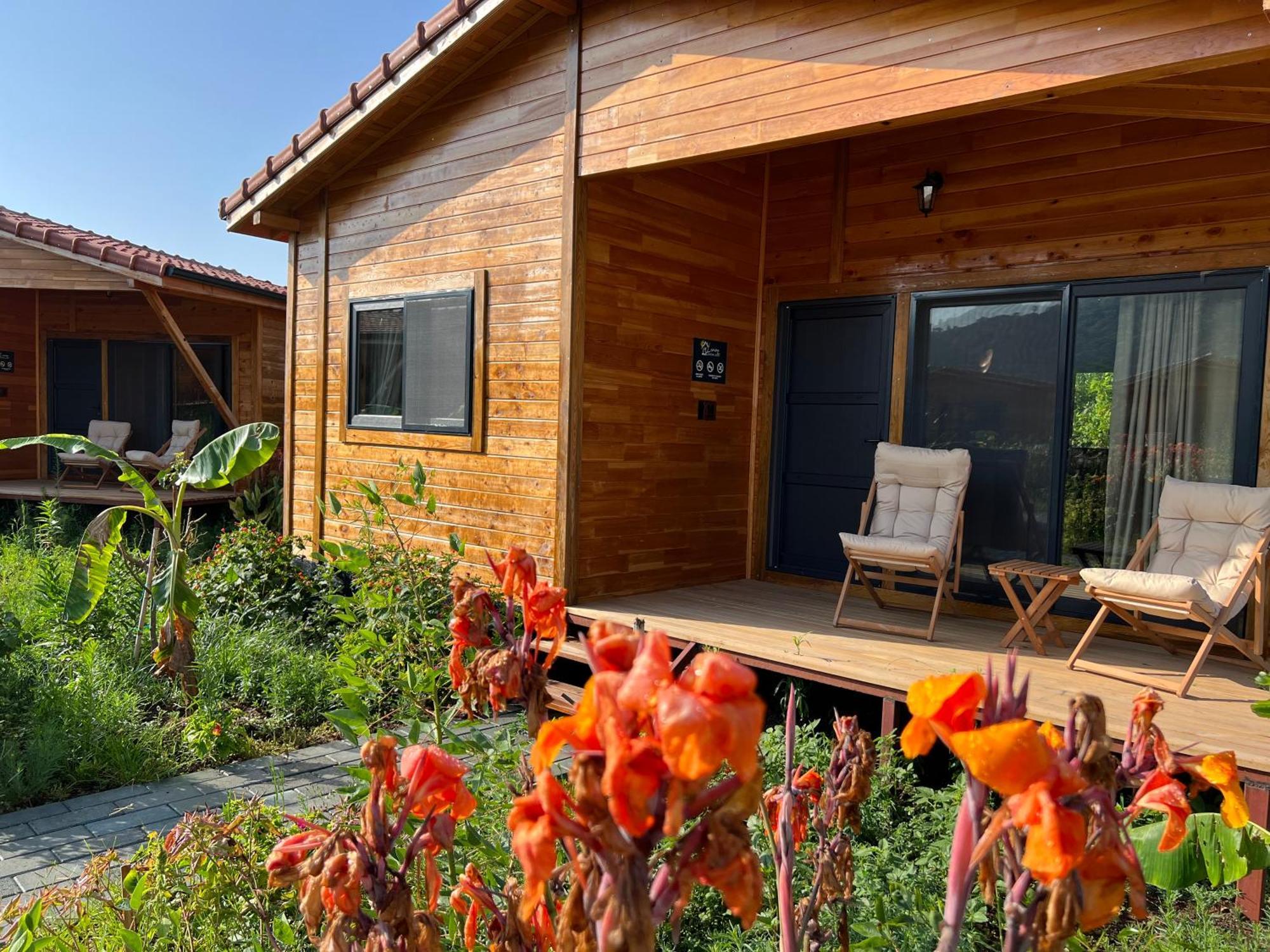Çıralı Lemon Garden Lodge المظهر الخارجي الصورة