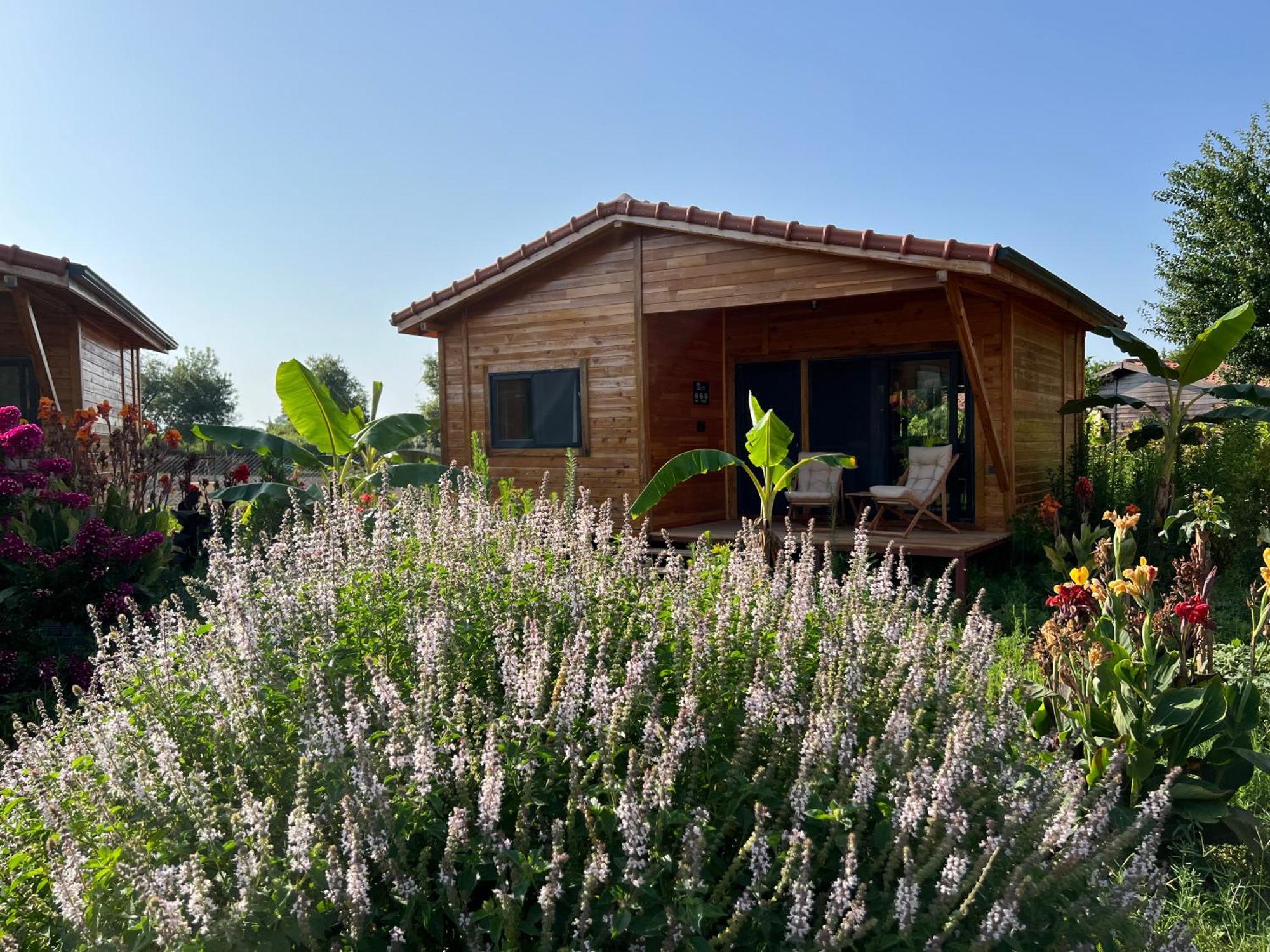 Çıralı Lemon Garden Lodge المظهر الخارجي الصورة