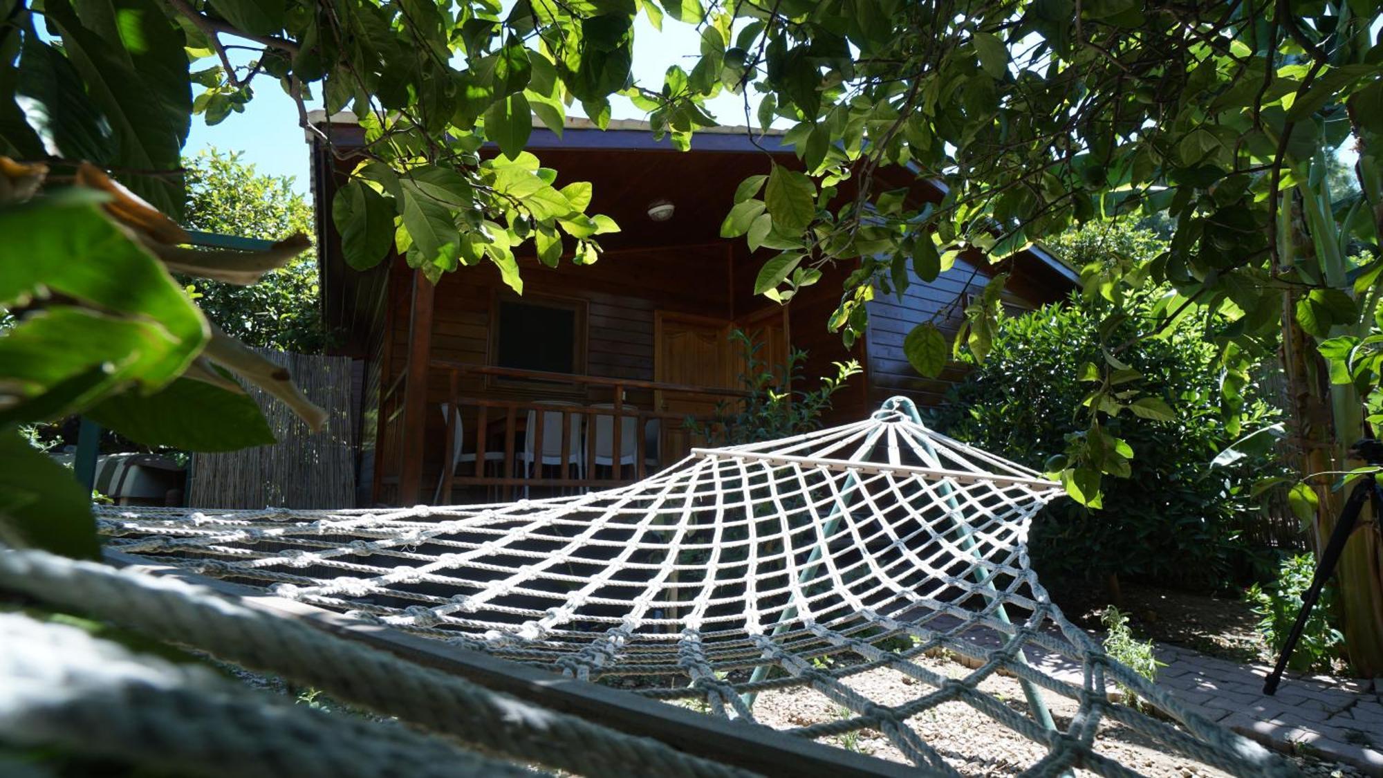 Çıralı Lemon Garden Lodge المظهر الخارجي الصورة