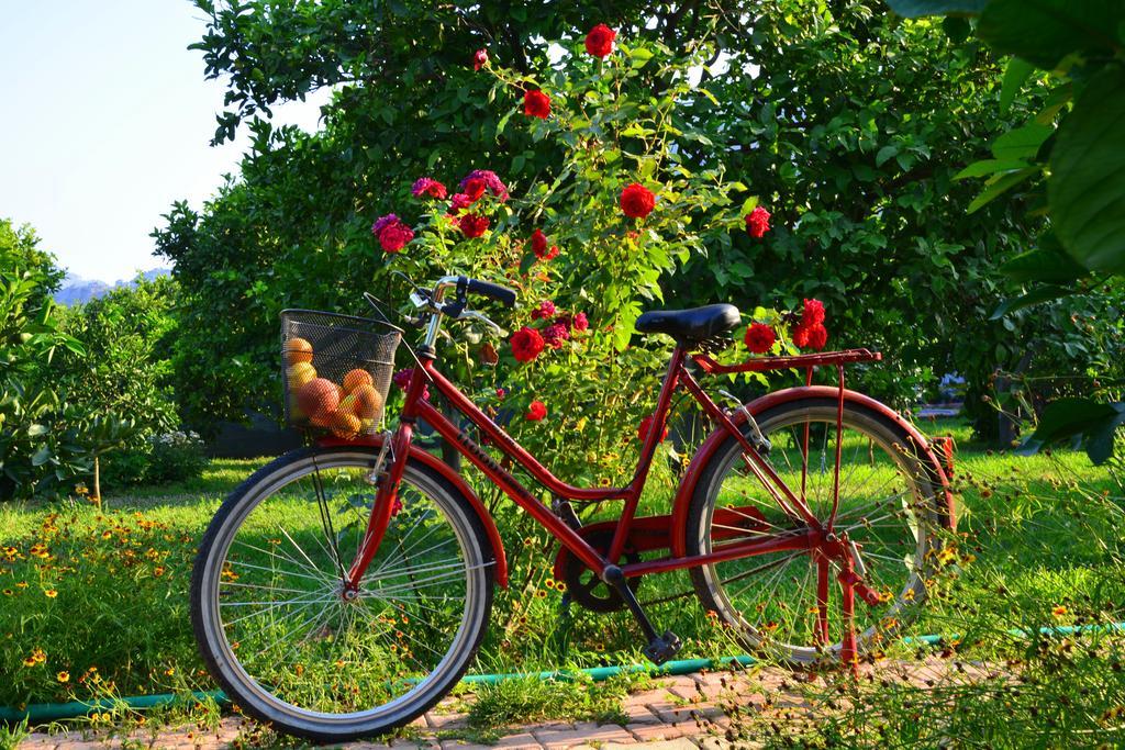 Çıralı Lemon Garden Lodge المظهر الخارجي الصورة