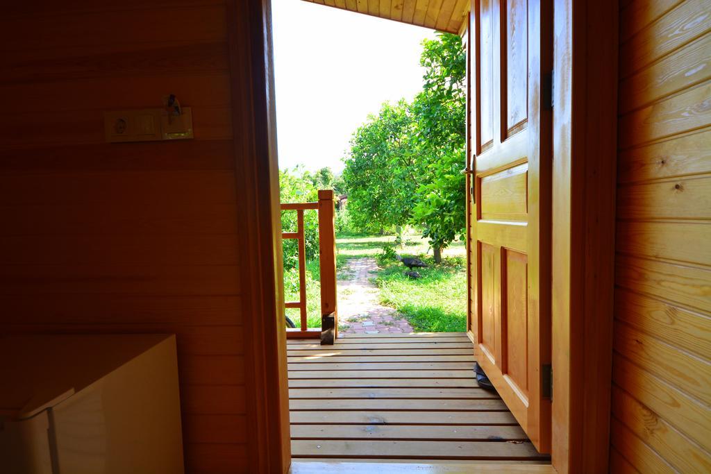 Çıralı Lemon Garden Lodge المظهر الخارجي الصورة