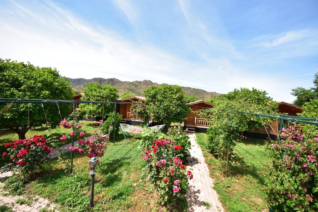 Çıralı Lemon Garden Lodge المظهر الخارجي الصورة