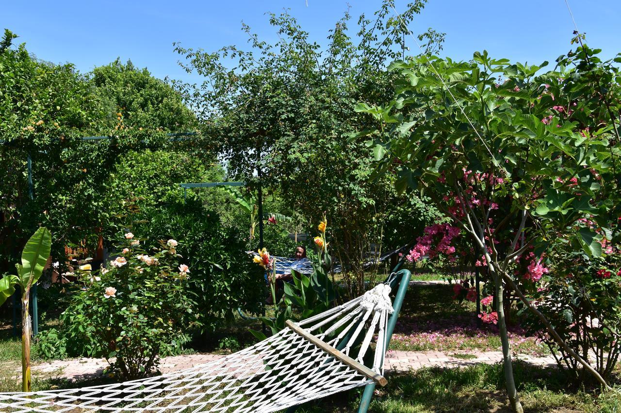 Çıralı Lemon Garden Lodge المظهر الخارجي الصورة